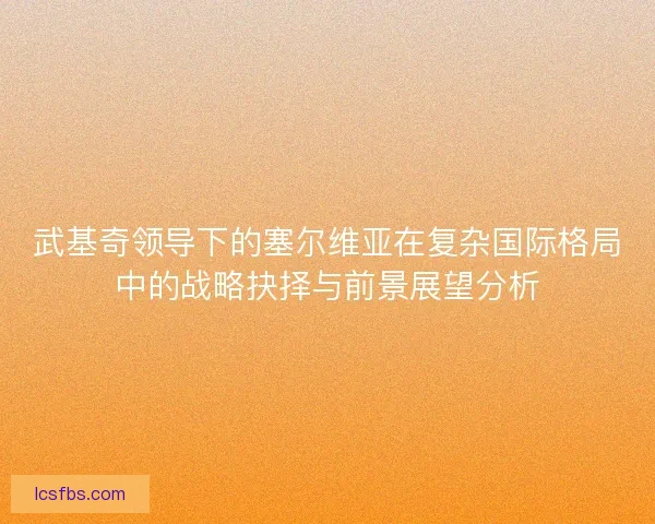 武基奇领导下的塞尔维亚在复杂国际格局中的战略抉择与前景展望分析 武基奇领导下的塞尔维亚在复杂国际格局中的战略抉择与前景展望分析