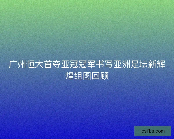 广州恒大首夺亚冠冠军书写亚洲足坛新辉煌组图回顾 广州恒大首夺亚冠冠军书写亚洲足坛新辉煌组图回顾